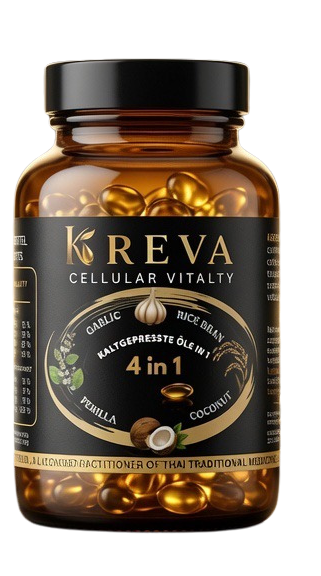 KREVA Box
