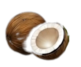 Kokosöl