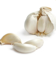 Knoblauch
