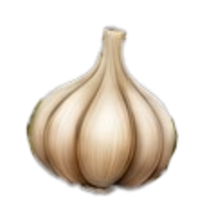 Knoblauch